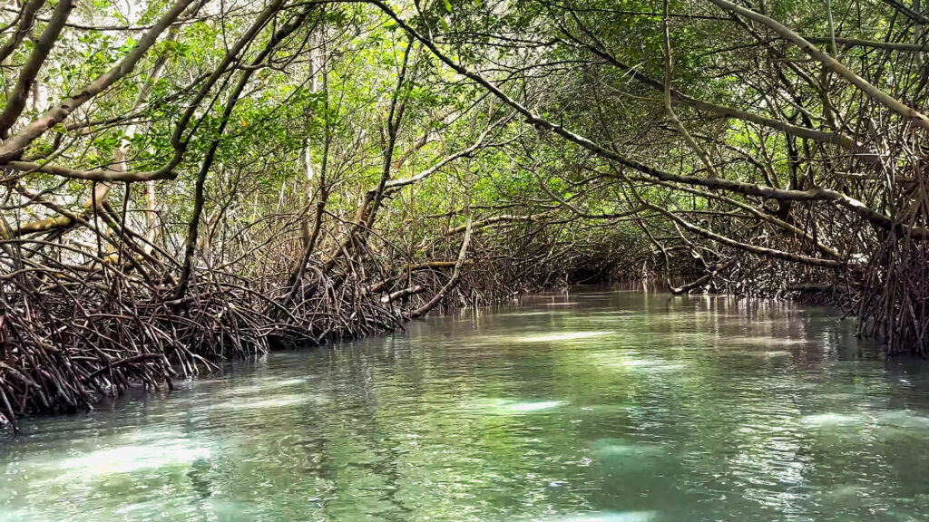 Tunel do Amor em Icaraizinho de Amontada