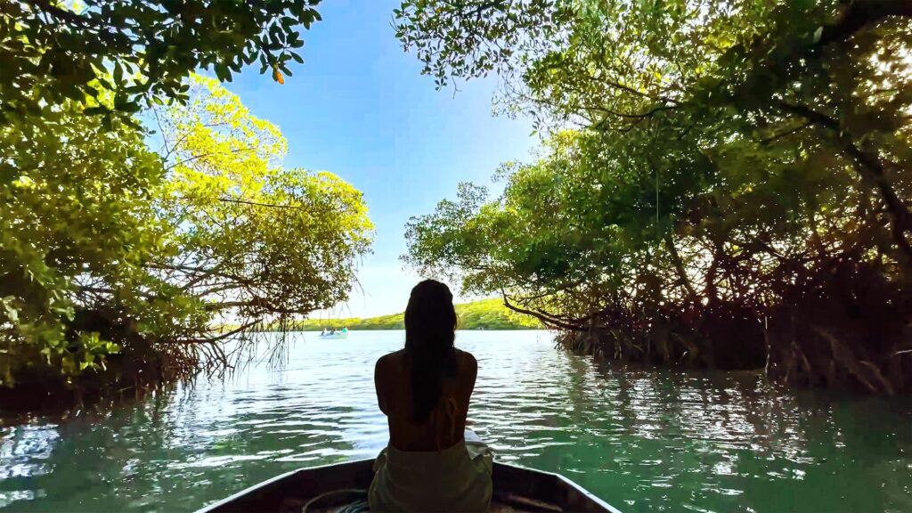 Passeio pelo Rio Aracatiaçu em Moitas